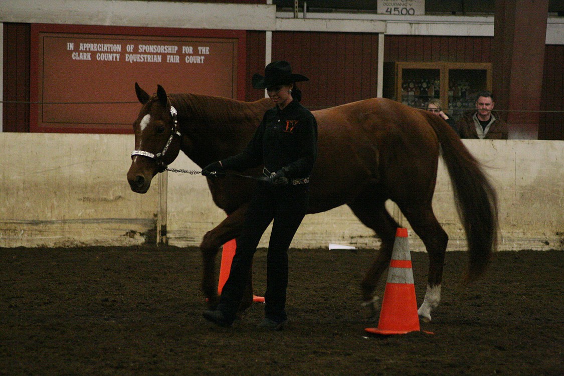 Washougal High School senior Maddy Kitchen leads Bingo between two cones during the in-hand obstacle relay race Thursday.