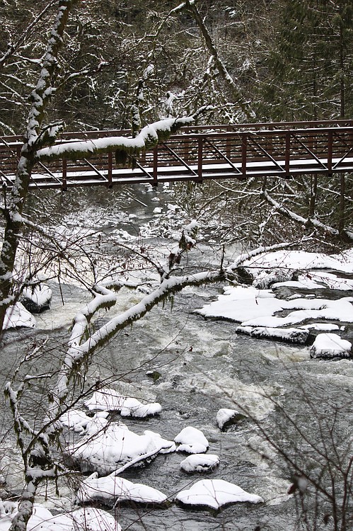 Thursday's snowfall added to the picturesque scene on Friday afternoon along the Lacamas Creek Trail in Camas. Another storm is expected to pass through the area on Friday night, and leave an additional 2 to 4 inches of snow.