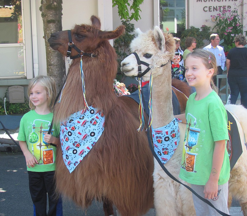 The Camas Days Kids Parade on Friday featured a number of festive participants. Those who completed the Camas Public Library's Summer Reading Program wore their shirts to march in the parade. Here, they pose with Rojo the Llama and Napoleon the Alpaca before festivities kicked off.