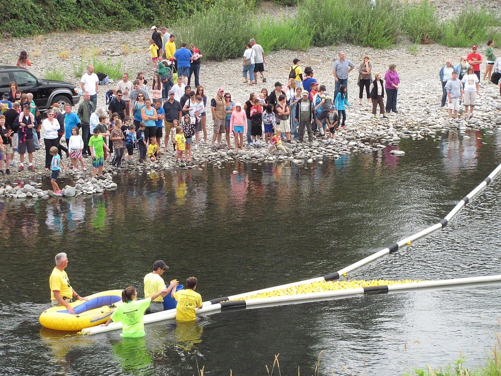 Members of the Camas-Washougal Rotary Club retrieved plastic ducks from the Washougal River, Sunday, during the Ducky Derby. A duck, sponsored for $5 by Jacob Zarzann, arrived at the finish line first, to claim a trip for two to Hawaii (a prize donated by Riverview Community Bank). A complete list of prize winners is available at www.cwduckyderby.org/wp1/prizes.