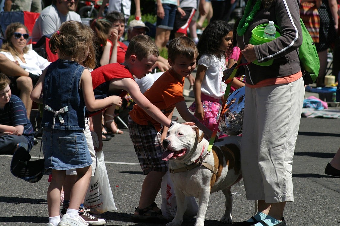 Grand Parade spectators pet one of the dogs that can be adopted from the West Columbia Gorge Humane Society in Washougal.
