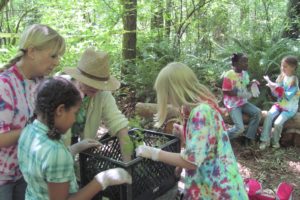 Campers and leaders inspect plants at Fern Hollow, part of Camas Camp-n-Ranch. Pictured clockwise, from left, is camper Raegan Brandy, counselors Tracy Frost and Sharon Barney, and camper Meagan Shellman. In the background are, left to right, Kathryn Sudbeck and Lexie Leyden.