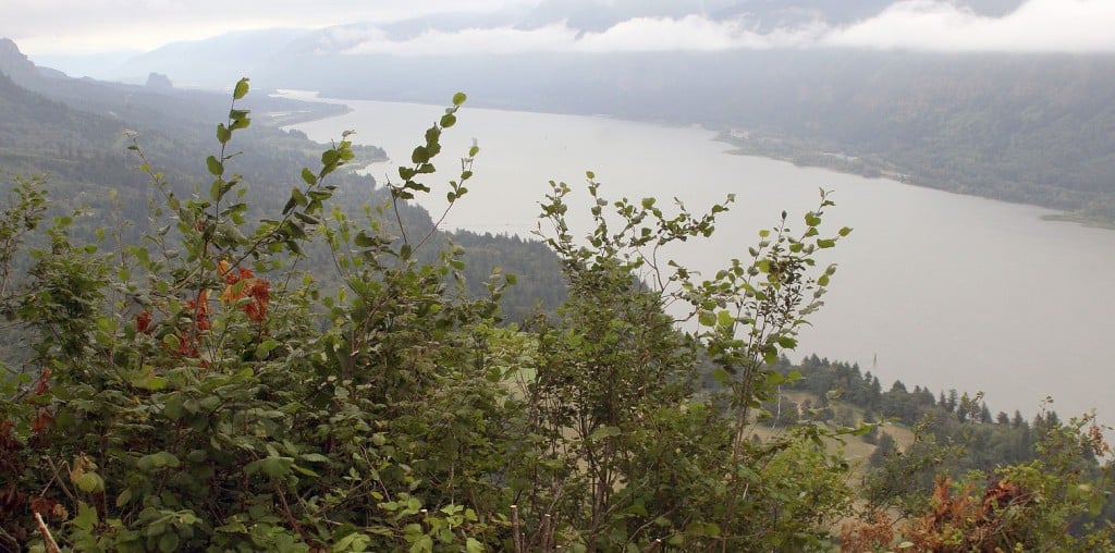 The view from the brand new Nancy Russell Overlook at Cape Horn. Friends of the Columbia Gorge generated more than $4 million to cover the costs of removing two homes and the construction of a circular, Americans with Disabilities Act accessible viewpoint.