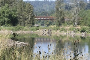 The Washougal River Greenway Trail in Camas offers a 1.1 mile paved route that runs across a 370-foot pedestrian bridge.  Amenities also include picnic tables and bike racks. There are trail heads at Northeast Second Avenue and Yale Street, and at Baz Park along the Northeast Third Avenue Loop.