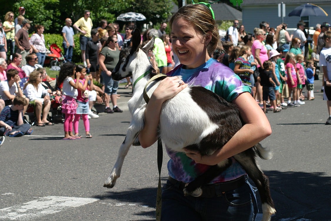 Grand Parade 2013