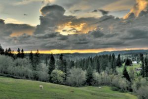 Camas Hills Looking West from Washougal," by Mitch Hammontree.