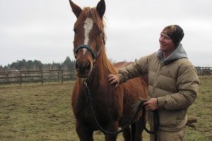 Snickers is one of 89 abused and neglected horses seized from a farm in Spokane. Trainer Kent Wright is hoping to work with her to accept a rider within the next four weeks. When she first arrived in Camas, Snickers would run away from people. Five days later, she allowed Wright to pet and brush her.