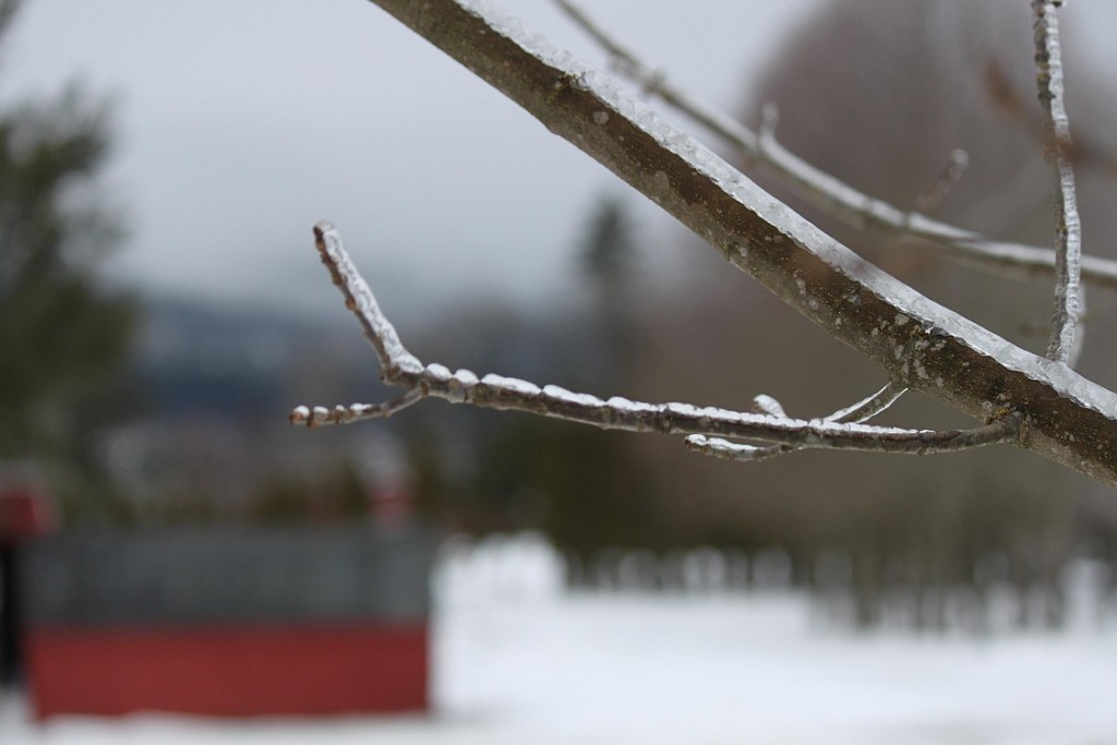 About a quarter-inch of ice coated the area over the weekend, as freezing rain blanketed the area Saturday and Sunday.