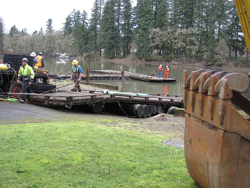 Crews from the City of Camas and Ballard Diving and Salvage work to pull a section of old dock from Lacamas Lake at the site of the former Moose Lodge on Friday. The wood and other debris were hauled away from the property yesterday for disposal. Four large logs, 6 to 7 feet in diameter, which were used as supports underneath the dock, were discovered. The old growth Douglas fir logs could be salvaged, then sold, traded or re-purposed to benefit the project.