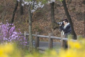 A friend captured this photo of Cindy Kassab during a 2011 trip to South Korea and China.