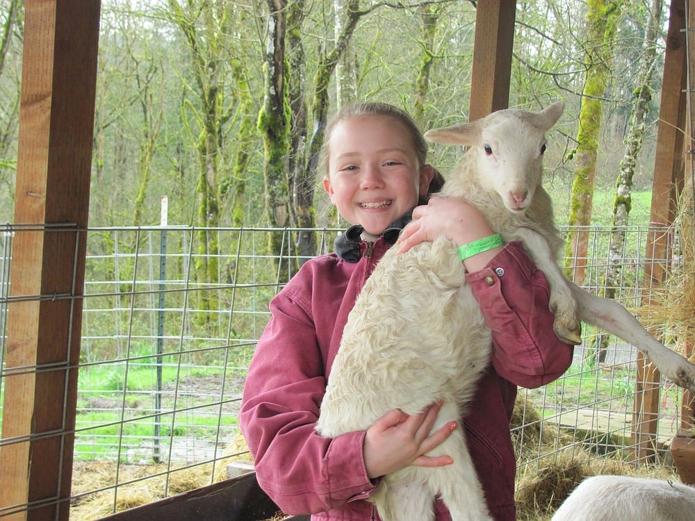 Kiara holds Tina, one of her sheep, at the family home in Washougal. She is raising the animals for 4-H and will show them at the Skamania County Fair this summer.