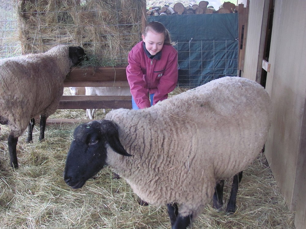 Kiara spends time with her sheep, Nina. She has raised her from infancy, and won several awards with her at the Skamania County Fair last summer.