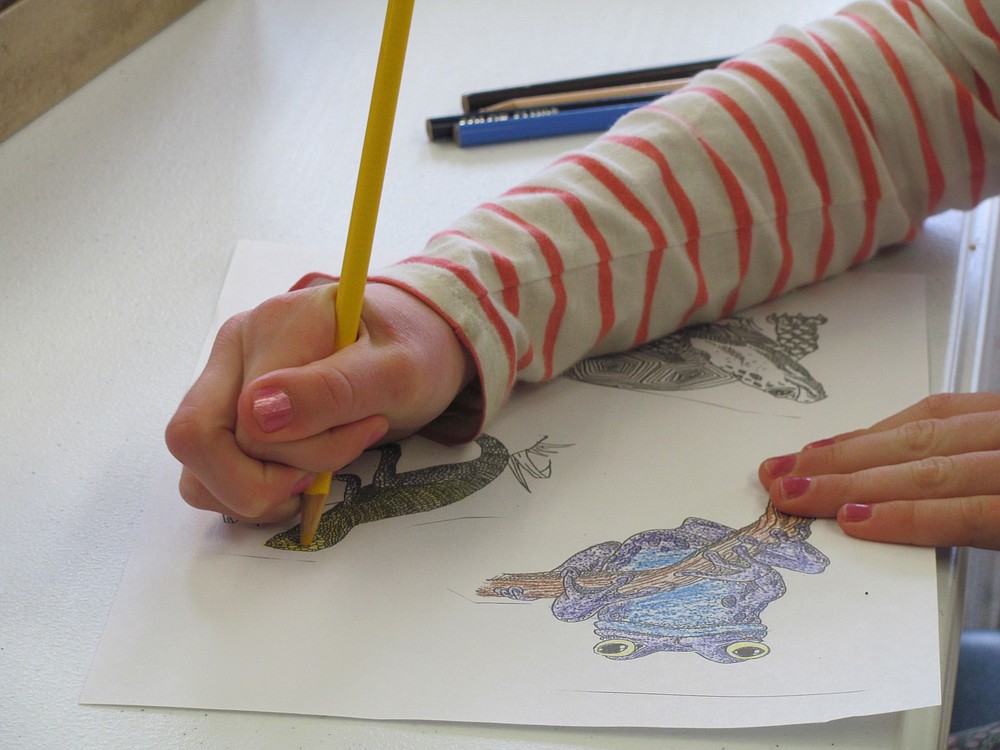 A student shades in different animal drawings for her contour box.