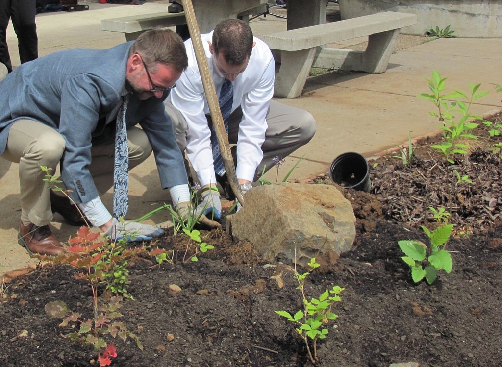 Skyridge Middle School Principal Aaron Smith and Associate Principal Clint Williams plant Camas lilies during the school's rain garden dedication on Earth Day. The project was a collaboration between parents, students, administrators, and donations from the community and businesses.