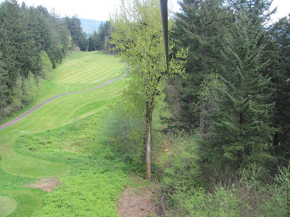 The sixth zipline in the tour takes riders over towering firs across the golf course and a trail, and is approximately 850 feet long.