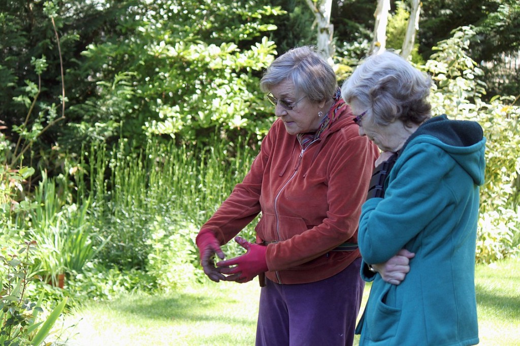 Lilla Larsen (left) talks about the plants and flowers in her yard with Alma Ladd (right), chairwoman of the Two Rivers Heritage Museum's annual plant fairs. Larsen, 70, has provided donations from her garden to support the fundraiser for several years. Larsen and her husband, Thor, have lived in their Washougal home for 41 years. "The garden gives more than it takes," she said.