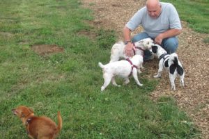 Dogs and their owners enjoy the open spaces of the Donald and Angeline Stevenson Off Leash Area, at 32nd and Addy streets in Washougal. The park includes a separate area for smaller dogs.