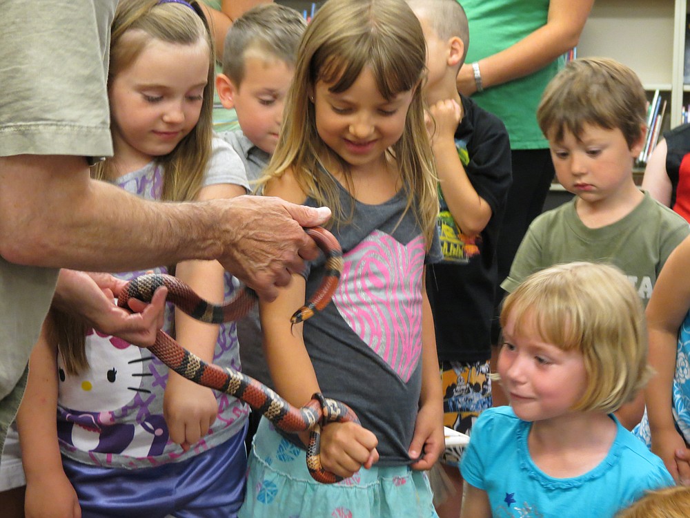 Bridget Carrick/Post-Record
Steve Lattanzi took a coral snake around the room for the kids to touch at the Washougal library. They could either get a snake "bracelet," "bow," "necklace" or "ninja head band."