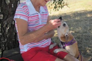 Randie Gjerset, of east Vancouver, enjoys spending time with Rocko, at the Donald and Angeline Stevenson Off Leash Area, near Bi-Mart, 3003 Addy St., Washougal. She adopted the 9-year-old male terrier mix in late July, from the West Columbia Gorge Humane Society, in Washougal. ìHeís very mellow and loves to be loved,î Gjerset said.   