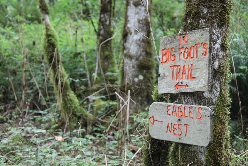 Trails are located throughout the 142-acre camp. It also includes 17 buildings, as well as a pool, canoe pond, and archery and sling shot ranges, as well as a bb gun range where biodegradable ammunition is used.