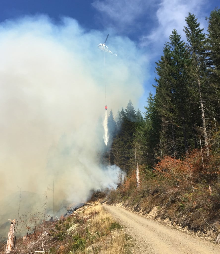 The Gold Rush Fire, located on Department of Natural Resources land, was tackled last week using tools ranging from helicopters dumping water to bulldozers moving earth.