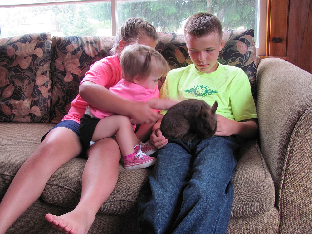 Dakota, 11, and his sisters Hannah, 8, and Laila, 13 months, pet one of the many bunnies they raise as members of the 4-H R.O.C.K.S club of Washougal.