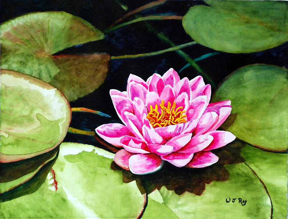 "Pamela's Water Lily" will be on display this month at the Second Story Gallery.