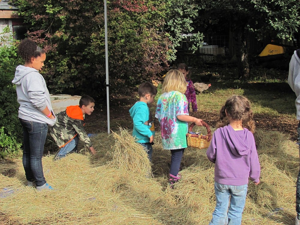 Children dig for candy and prizes during Spooky Harvest at the Ranch.