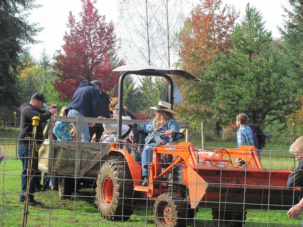 Camas Camp-n-Ranch owner Tina Goodnight enjoyed taking attendees on hayrides through her property. "Thanks for bringing the sun today," she said.