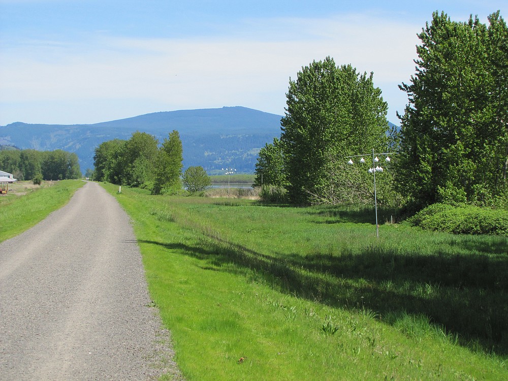 This photograph taken by Jay Elder shows the dike trail before the removal of trees and vegetation in the area of the dike near the Steigerwald Lake National Wildlife Refuge, in Washougal.