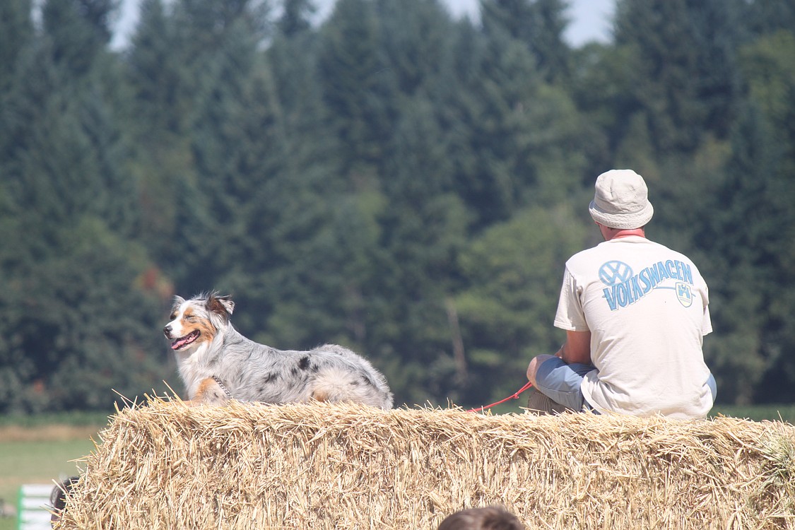 Dogs of all kinds were popular companions for spectators at the Lacamas Valley Sheepdog Trial in Camas.