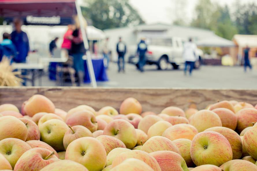 Apples of all kinds will be avaoable to purchase by the pound during the Apple Festival. The event is a fundraiser for Washougal's Riverside Christian School.