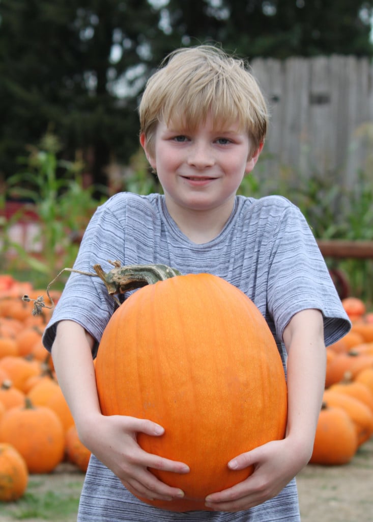 Ethan Kibbee, 9, of Portland, picked out a Halloween pumpkin Friday at Joe's Place Farms. He was one of many children who ventured to the popular east Vancouver location Friday to enjoy activites including a corn maze,  corn stalk teepee and a tower of hay bales.