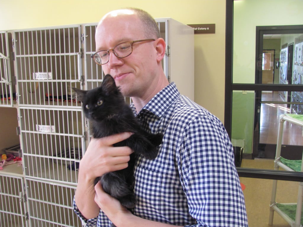 Ellingson greets Joey, a kitten at the HSSW. The HSSW staff and volunteers will bring hot cocoa and cookies for people and blankets and toys for the animals in the "mobile cudding units." Applications to host a "cuddle squad" are due by Friday, Dec. 4.