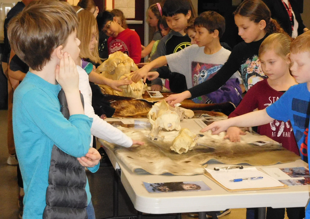 Third-graders inspect a table filled with seal lion, sea otter and seal pelts and skulls after a presentation by the Oregon Coast Aquarium's outreach team.