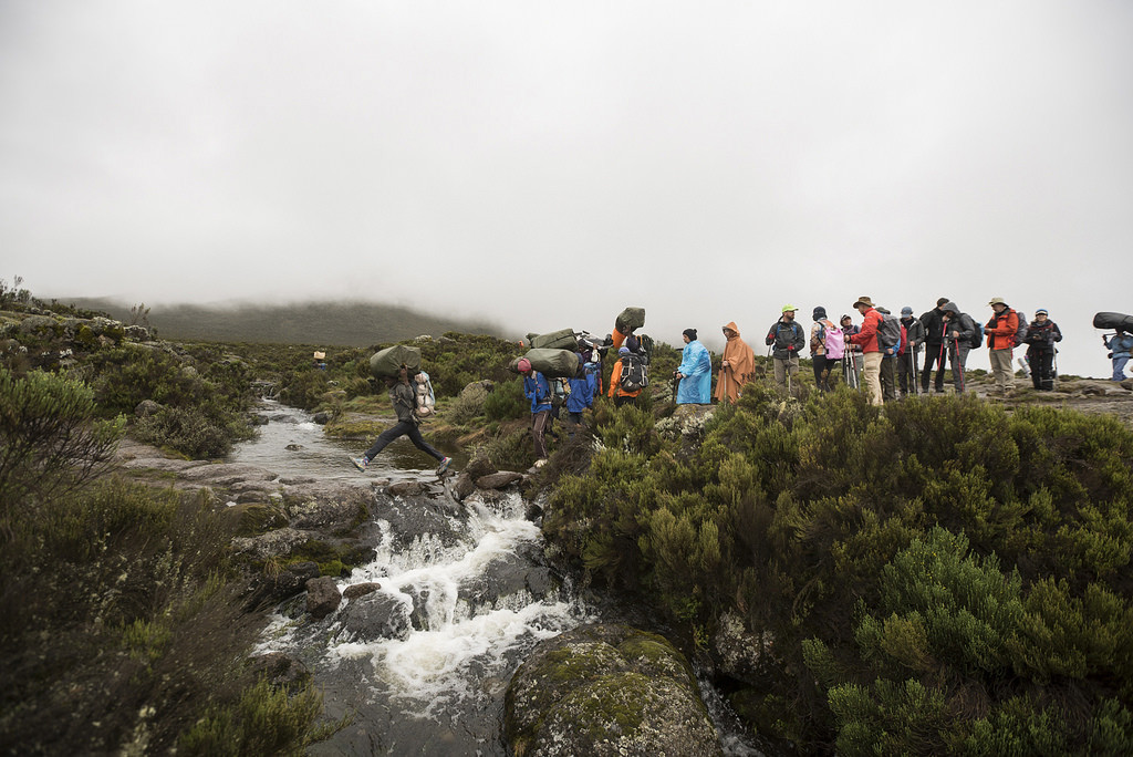 The 15 climbers traversed through multiple ecosystems during their summit attempt of Mount Kilimanjaro.