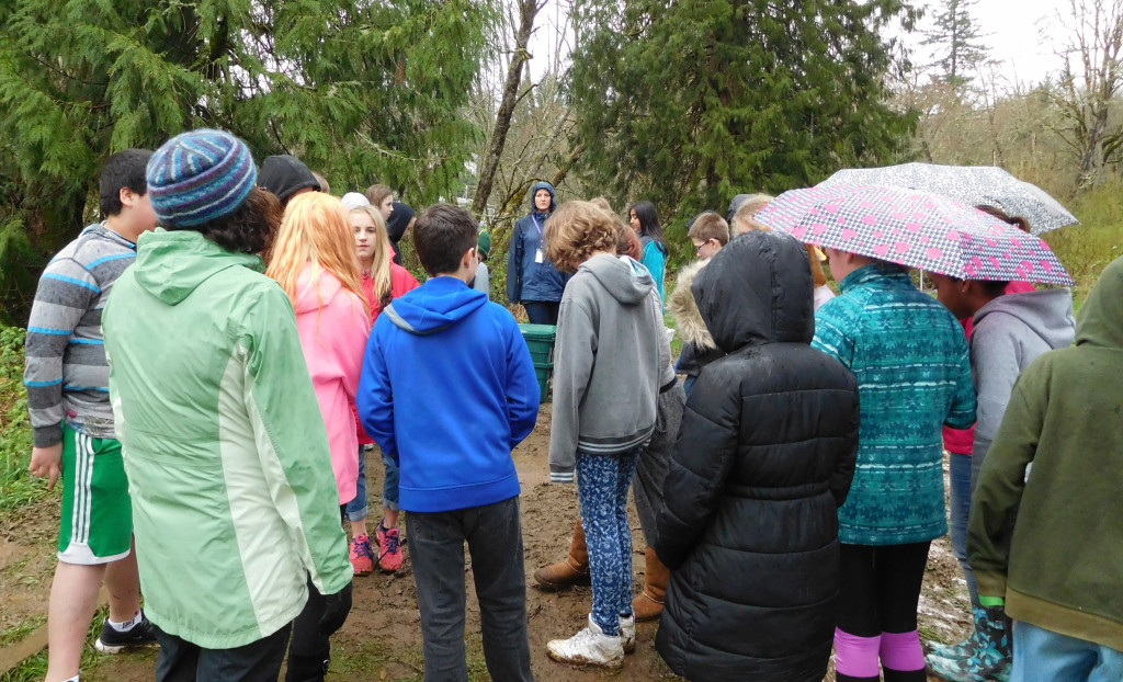 Students in Mona Davies' science class at Jemtegaard Middle School have spent the past several months gathering data at Gibbons Creek. In May, they will present their findings at the Clark County Watershed Congress.