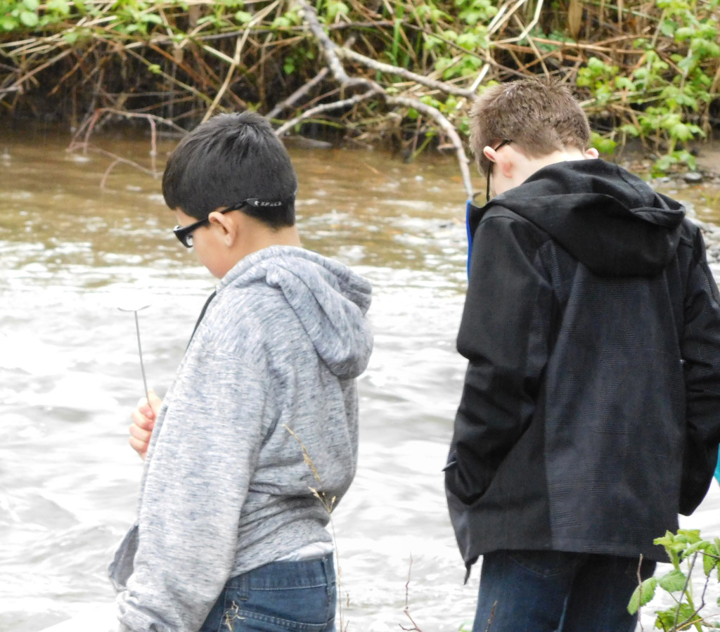 Students are monitoring Gibbons Creek for phosphates, nitrates, turbidity, dissolved oxygen, pH, temperature and macro invertebrates.