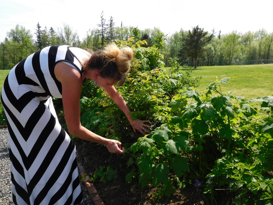 Cooper inspects a salmonberry plant. She served as a mentor for Adam Ryan and Seth Bradshaw's Eagle Scout projects.