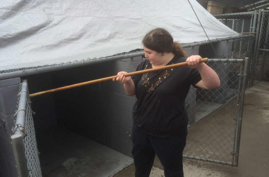 Carlson, 19, cleans out a kennel at the West Columbia Gorge Humane Society. It is one of the local organizations that partners with the Pathways program. 