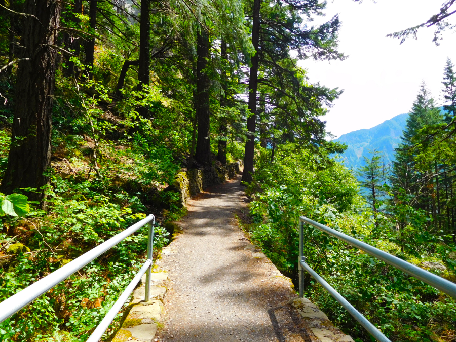 The Beacon Rock hike heads up immediately, with 848 feet to climb in less than a mile. But the grade is surprisingly gentle, with plenty of places for hikers to catch their breath and enjoy a view. Moss covered boulders line the wide gravelled path at the base, and the trail then curves around to the south side of the rock.