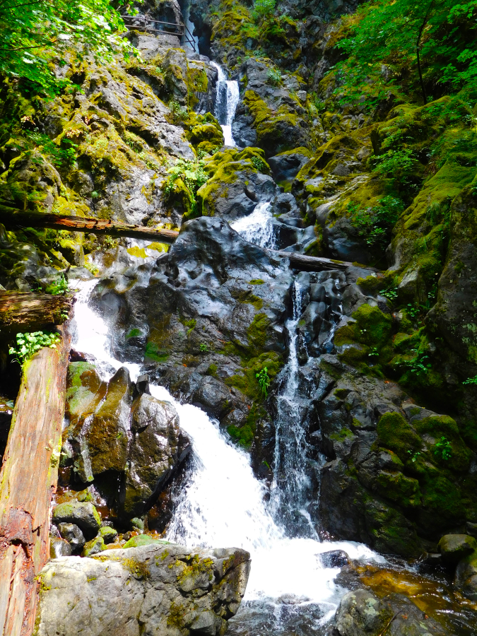 Hardy Falls plunges 90 feet straight into a pool below. It is one of the breathtaking sights hikers will experience at Hamilton Mountain.