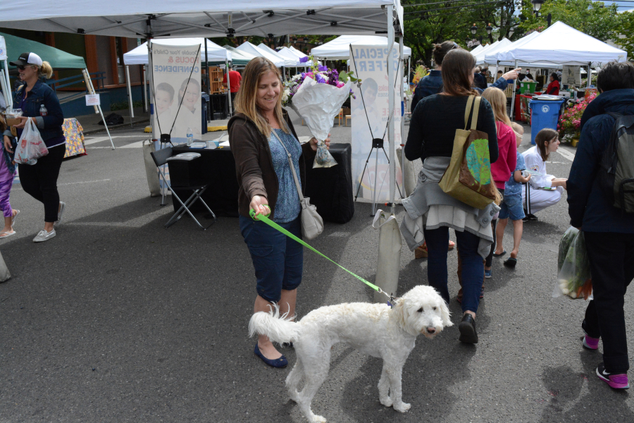 Noah, a 2-year-old golden doodle from Washougal, enjoys his first visit to the Camas Farmer's Market. "A lot of people want to pet him," said owner Kim Peterson. "We thought we'd set up a booth. $1 for a pet, $2 for a lick."