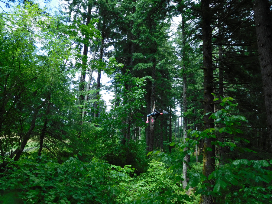 An adventurer disappears into the trees during the Skamania Lodge Zip Line Tour. 