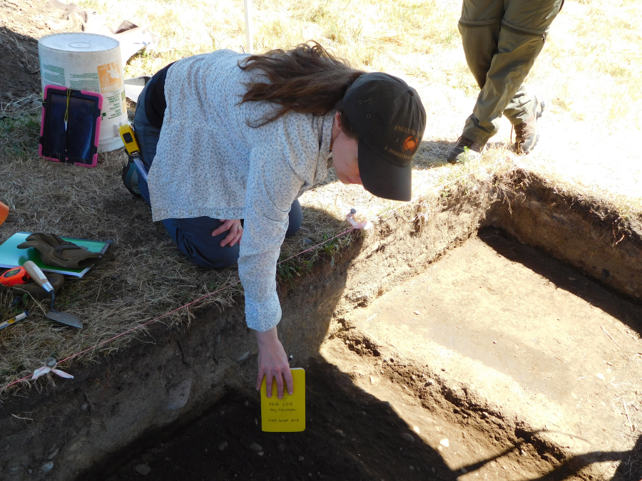 Field director Amy Clearman points to imprints below the soil which indicate a tire rut, likely made by a vehicle during the construction of the Spruce Mill in 1917.