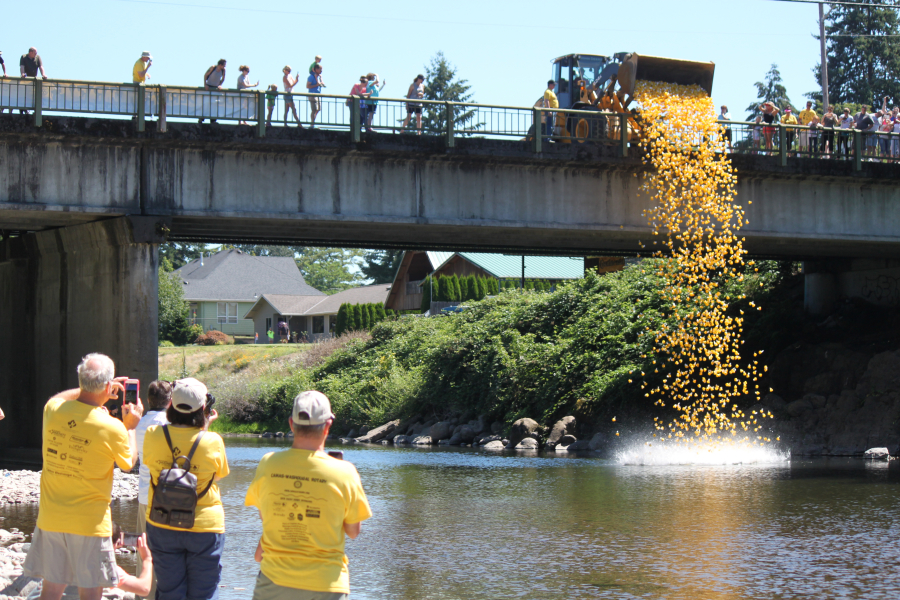 In front of a large crowd that gathered on the Third Avenue Bridge in Camas and on the banks of the Washougal River, 5,000 bright yellow rubber ducks were dropped into the water Sunday afternoon as part of the annual Camas-Washougal Rotary Club Ducky Derby fundraiser. The grand prize winner is Shirley Deoca. She receives a trip for two to Hawaii, courtesy of Riverview Community Bank. The ducks, which could be adopted for $5 each, sold out on Saturday. Proceeds support local service projects and scholarships. The names of the winners of all of the Ducky Derby prizes are posted at www.cwduckyderby.org.