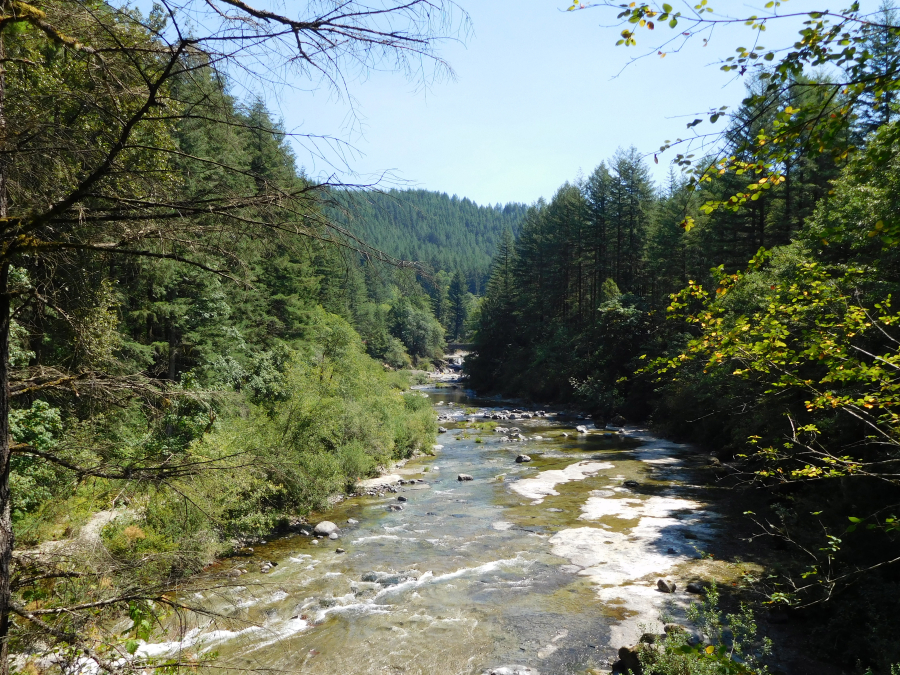 Camp Wa-Ri-Ki is bordered by the Washougal River. A viewpoint, constructed as a part of an Eagle Scout project, allows campers a safe, birds-eye view of the river. 