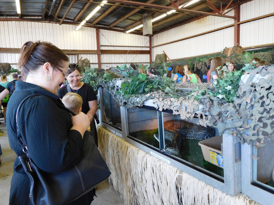 Fairgoers enjoyed the "Walk on the Wild Side," animal exhibit which included several varities of snakes, lizards and even a tiger.