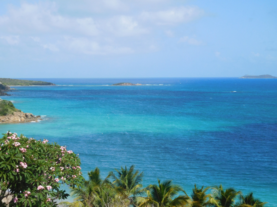 The Caribbean is known for its crystal blue waters and ample snorkeling. Some of the islands that guests on the Dalliance visit are accessible only by boat. (Contributed photo)