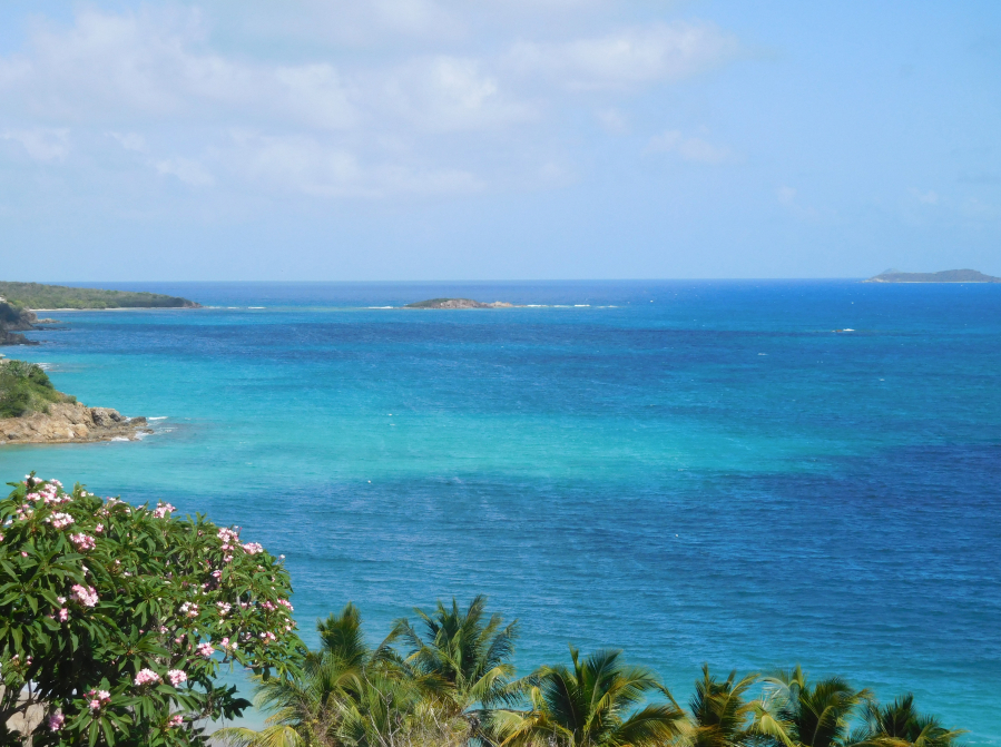 The Caribbean is known for its crystal blue waters and ample snorkeling. Some of the islands that guests on the Dalliance visit are accessible only by boat. (Contributed photo)